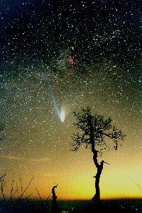 A photo of comet Hale-Bopp